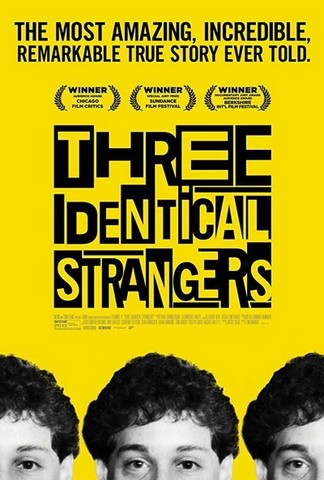 Three Identical Stranger (2018)